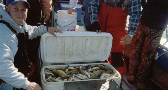 Another cooler of Lake Erie perch